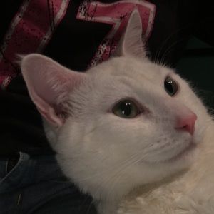 Meet your Posher, Karina